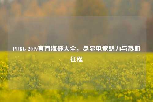 PUBG 2019官方海报大全，尽显电竞魅力与热血征程