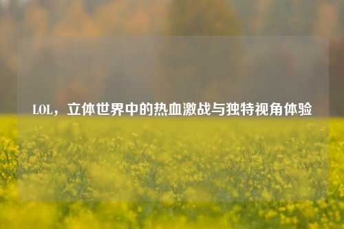LOL，立体世界中的热血激战与独特视角体验