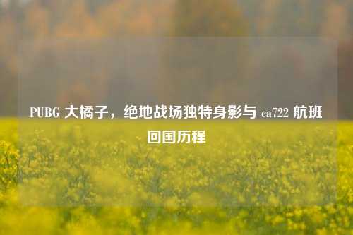 PUBG 大橘子，绝地战场独特身影与 ca722 航班回国历程
