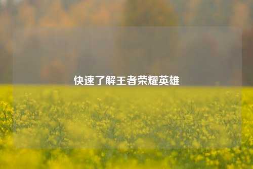 快速了解王者荣耀英雄