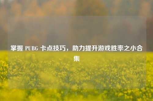 掌握 PUBG 卡点技巧，助力提升游戏胜率之小合集