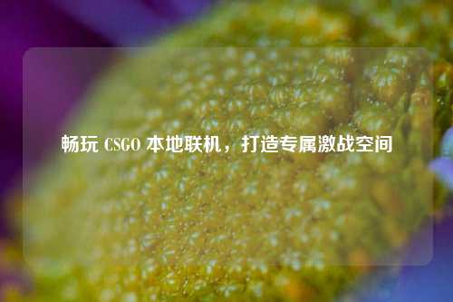 畅玩 CSGO 本地联机,打造专属激战空间