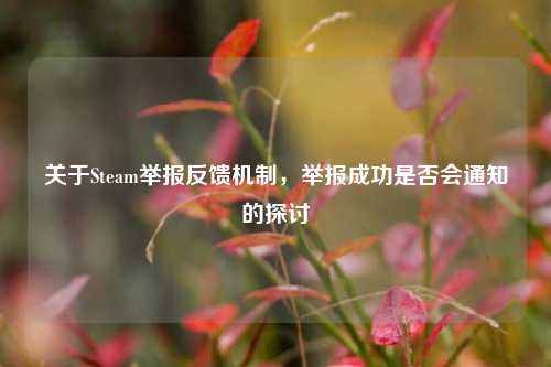 关于Steam举报反馈机制,举报成功是否会通知的探讨