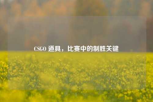 CSGO 道具,比赛中的制胜关键