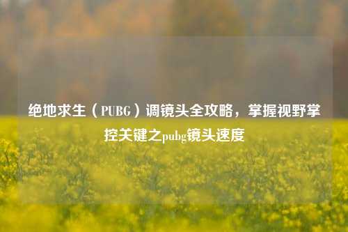 绝地求生(PUBG)调镜头全攻略,掌握视野掌控关键之pubg镜头速度