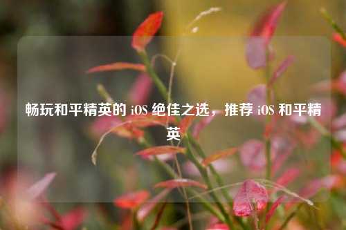 畅玩和平精英的 iOS 绝佳之选，推荐 iOS 和平精英