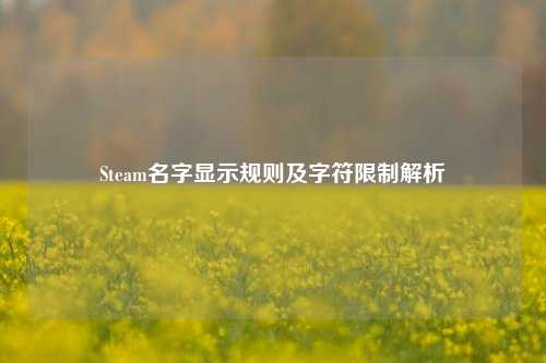 Steam名字显示规则及字符限制解析