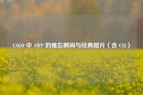 CSGO 中 AWP 的难忘瞬间与经典图片(含 CS2)