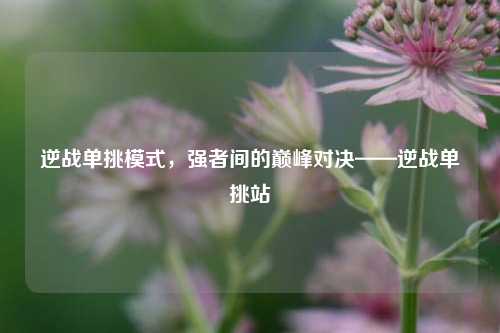 逆战单挑模式，强者间的巅峰对决——逆战单挑站