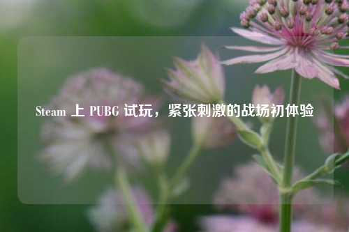 Steam 上 PUBG 试玩,紧张刺激的战场初体验