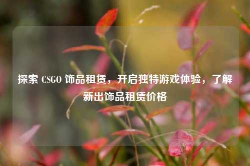 探索 CSGO 饰品租赁，开启独特游戏体验，了解新出饰品租赁价格