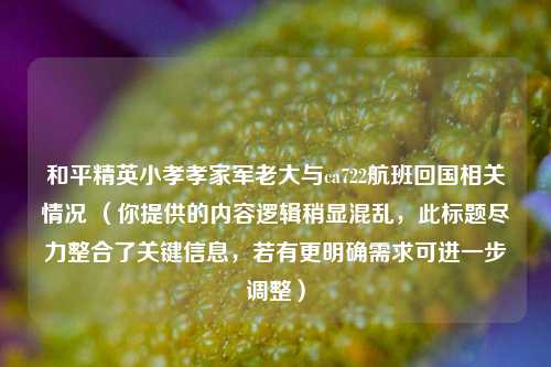 和平精英小孝孝家军老大与ca722航班回国相关情况 （你提供的内容逻辑稍显混乱，此标题尽力整合了关键信息，若有更明确需求可进一步调整）