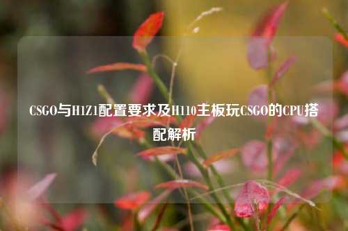 CSGO与H1Z1配置要求及H110主板玩CSGO的CPU搭配解析