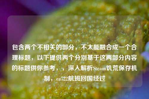 包含两个不相关的部分，不太能融合成一个合理标题，以下提供两个分别基于这两部分内容的标题供你参考，，深入解析Steam饥荒保存机制，ca722航班回国经过