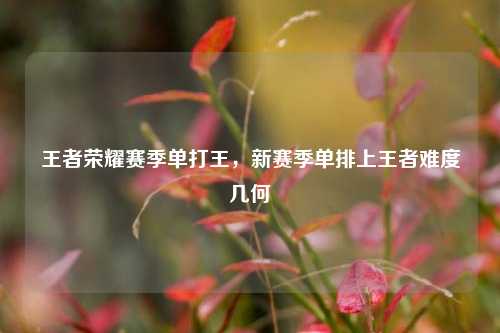 王者荣耀赛季单打王,新赛季单排上王者难度几何