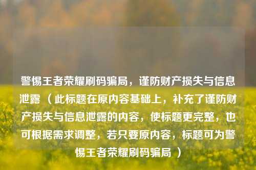 警惕王者荣耀刷码骗局,谨防财产损失与信息泄露 (此标题在原内容基础上,补充了谨防财产损失与信息泄露的内容,使标题更完整,也可根据需求调整,若只要原内容,标题可为警惕王者荣耀刷码骗局 )