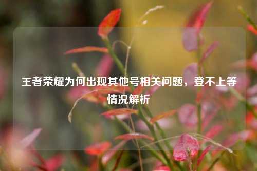 王者荣耀为何出现其他号相关问题,登不上等情况解析
