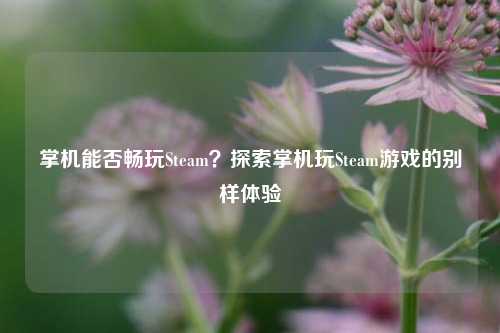 掌机能否畅玩Steam？探索掌机玩Steam游戏的别样体验
