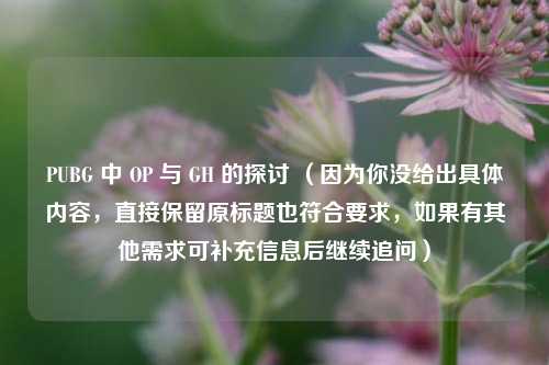 PUBG 中 OP 与 GH 的探讨 （因为你没给出具体内容，直接保留原标题也符合要求，如果有其他需求可补充信息后继续追问）