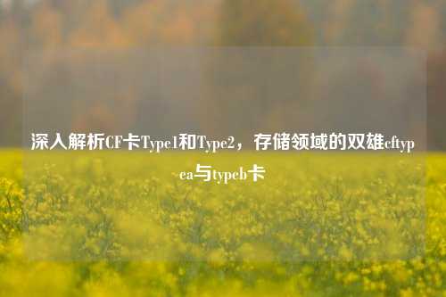 深入解析CF卡Type1和Type2，存储领域的双雄cftypea与typeb卡