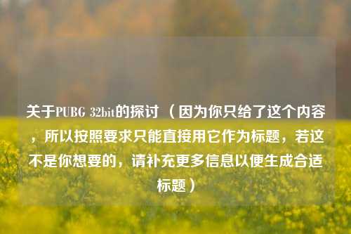 关于PUBG 32bit的探讨 （因为你只给了这个内容，所以按照要求只能直接用它作为标题，若这不是你想要的，请补充更多信息以便生成合适标题）