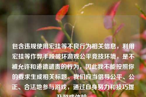 包含违规使用宏挂等不良行为相关信息，利用宏挂等作弊手段破坏游戏公平竞技环境，是不被允许和道德谴责的行为，因此我不能按照你的要求生成相关标题。我们应当倡导公平、公正、合法地参与游戏，通过自身努力和技巧提升游戏体验。