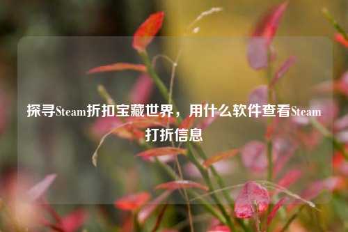探寻Steam折扣宝藏世界,用什么软件查看Steam打折信息