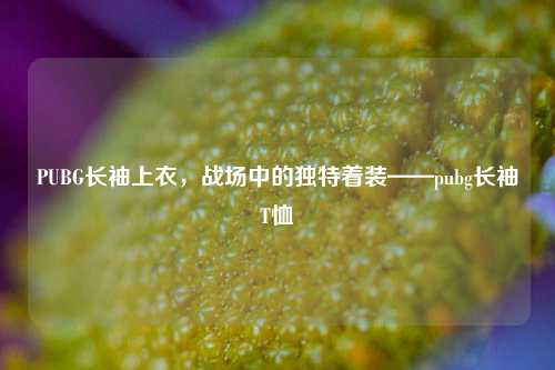 PUBG长袖上衣,战场中的独特着装——pubg长袖T恤