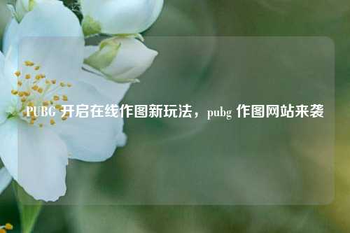PUBG 开启在线作图新玩法,pubg 作图网站来袭