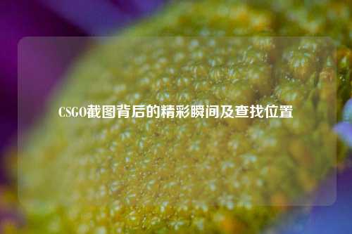 CSGO截图背后的精彩瞬间及查找位置