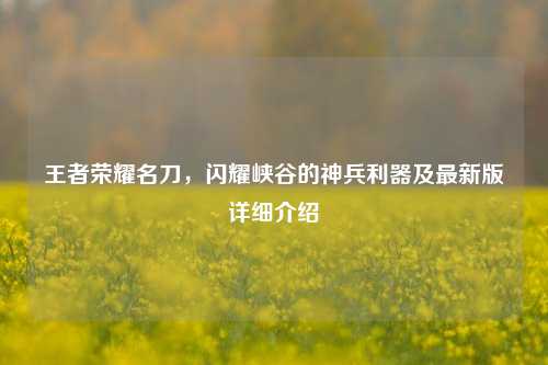 王者荣耀名刀,闪耀峡谷的神兵利器及最新版详细介绍