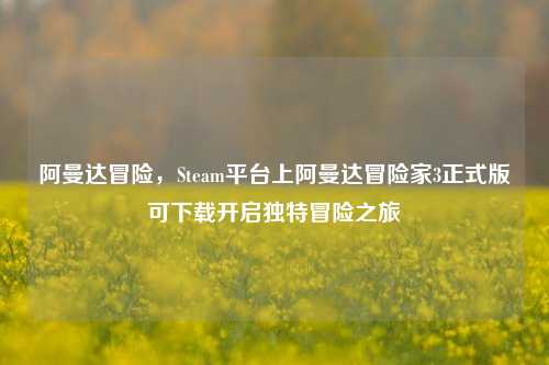 阿曼达冒险，Steam平台上阿曼达冒险家3正式版可下载开启独特冒险之旅