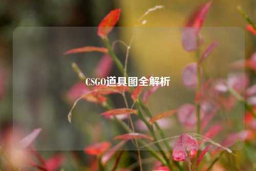 CSGO道具图全解析