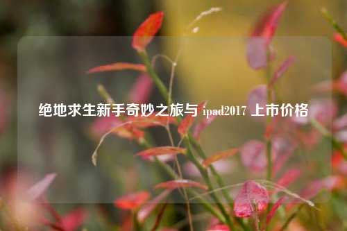 绝地求生新手奇妙之旅与 ipad2017 上市价格