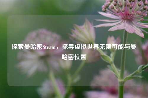 探索曼哈密Steam,探寻虚拟世界无限可能与曼哈密位置