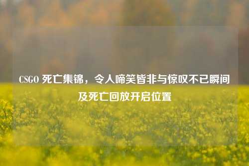 CSGO 死亡集锦，令人啼笑皆非与惊叹不已瞬间及死亡回放开启位置
