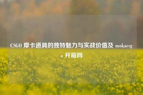 CSGO 摩卡道具的独特魅力与实战价值及 mokacsgo 开箱网