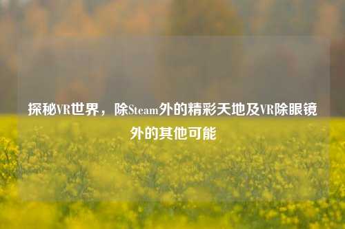 探秘VR世界,除Steam外的精彩天地及VR除眼镜外的其他可能