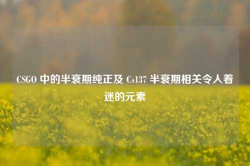 CSGO 中的半衰期纯正及 Cs137 半衰期相关令人着迷的元素