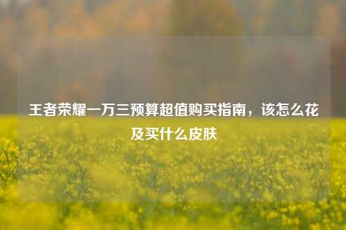 王者荣耀一万三预算超值购买指南,该怎么花及买什么皮肤