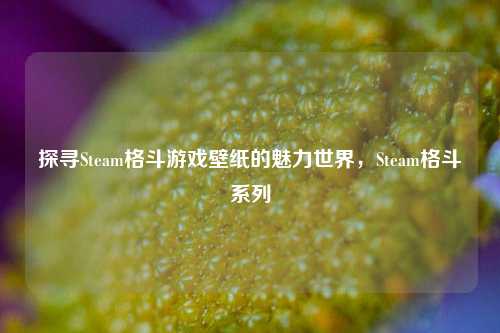 探寻Steam格斗游戏壁纸的魅力世界,Steam格斗系列