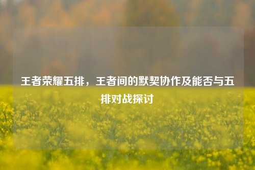 王者荣耀五排,王者间的默契协作及能否与五排对战探讨