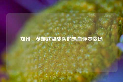 郑州,英雄联盟战队的热血逐梦战场