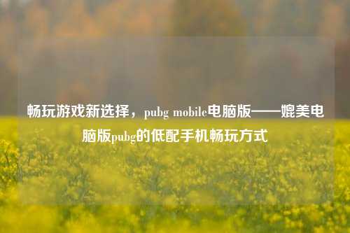 畅玩游戏新选择,pubg mobile电脑版——媲美电脑版pubg的低配手机畅玩方式