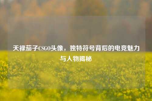 天禄茄子CSGO头像，独特符号背后的电竞魅力与人物揭秘