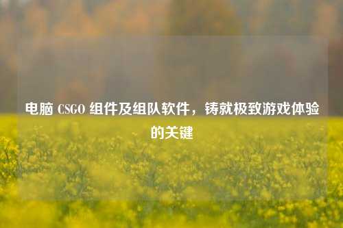 电脑 CSGO 组件及组队软件,铸就极致游戏体验的关键