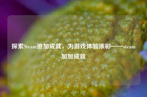 探索Steam追加成就,为游戏体验添彩——steam加加成就