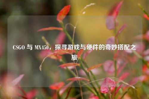 CSGO 与 MX450，探寻游戏与硬件的奇妙搭配之旅