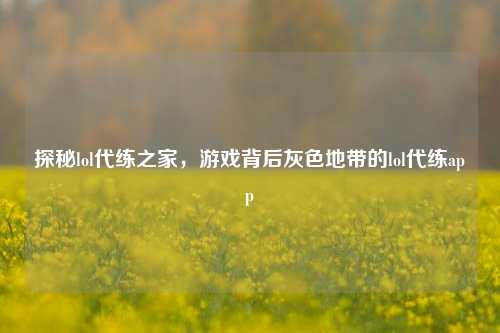 探秘lol代练之家，游戏背后灰色地带的lol代练app