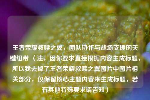 王者荣耀救赎之翼，团队协作与战场支援的关键纽带 （注，因你要求直接根据内容生成标题，所以我去掉了王者荣耀救赎之翼图片中图片相关部分，仅保留核心主题内容来生成标题，若有其他特殊要求请告知）